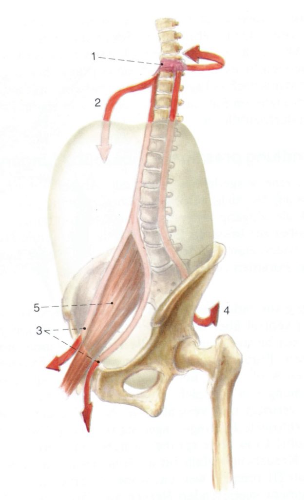 Dirk Fabian - Georg Thieme - Orthopaedische Operationslehre - Vol10 Spondylitis - 06
